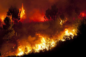 CONFERENZA SISC (SIDE EVENT) Dall'Amazzonia alla Siberia: l'impatto degli incendi nel clima che cambia