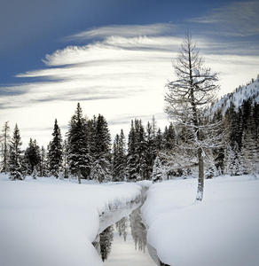 PARCO ADAMELLO BRENTA